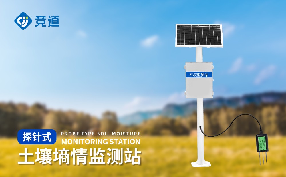 1693992823139719.jpg 3.jpg