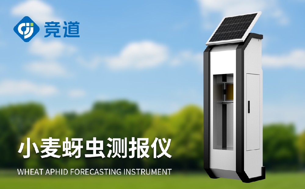 小麥蚜蟲監測儀為蚜蟲蟲害治理提供幫助
