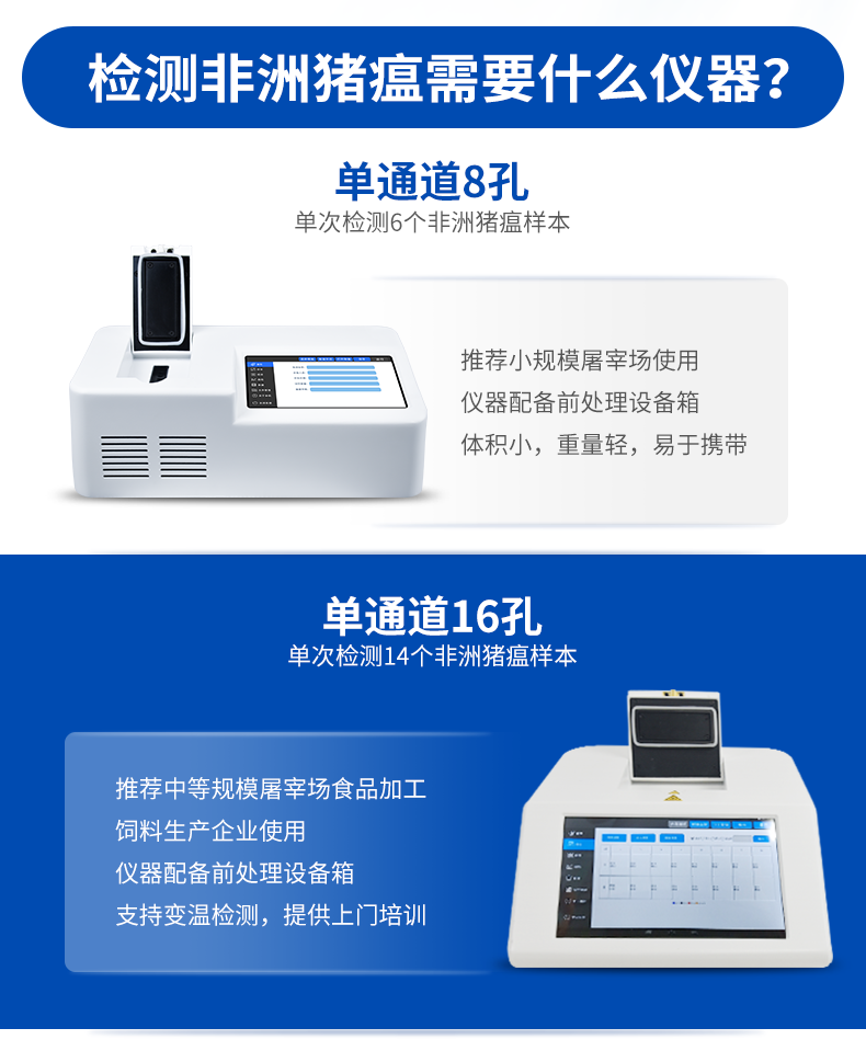 非洲豬瘟 非洲豬瘟