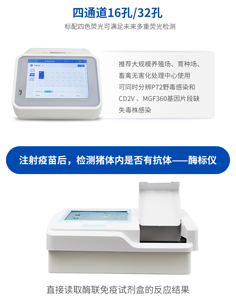 非洲豬瘟 非洲豬瘟
